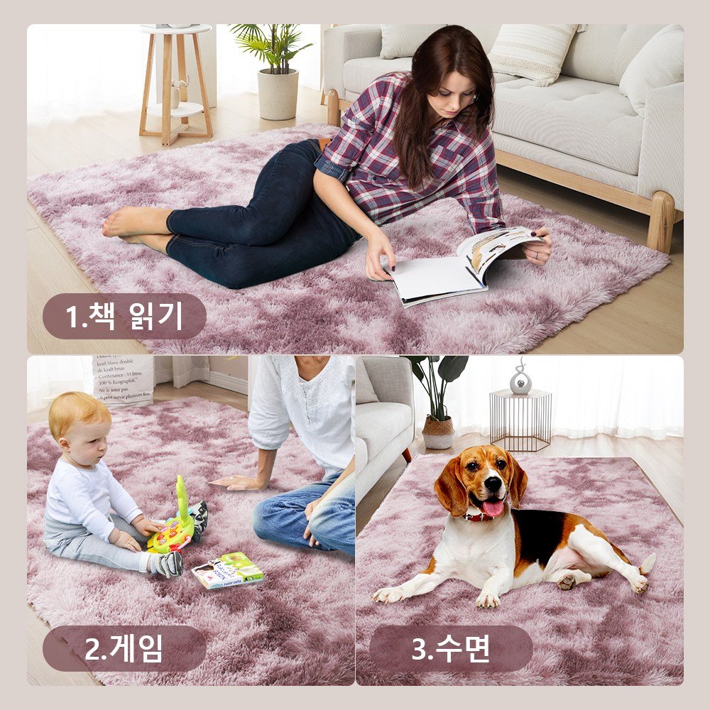 Unique Haven 인룸 소프트 러그 솜털 거실카페트 모던 방바닥 침실러그할인 상세 이미지 2