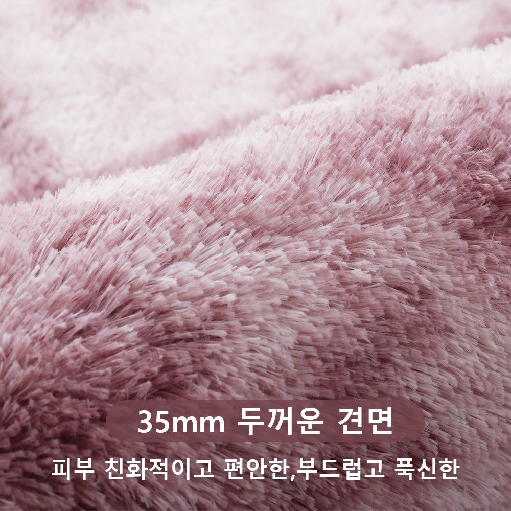 Unique Haven 인룸 소프트 러그 솜털 거실카페트 모던 방바닥 침실러그할인 상세 이미지 2