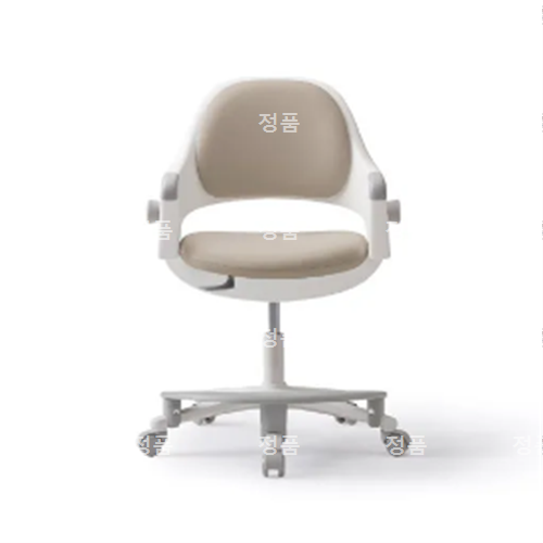 [시디즈] SN50 RINGO 링고 고정형 학생용의자+발받침 (VSNB509ACF), A447A-그린티그린 상세 이미지 1