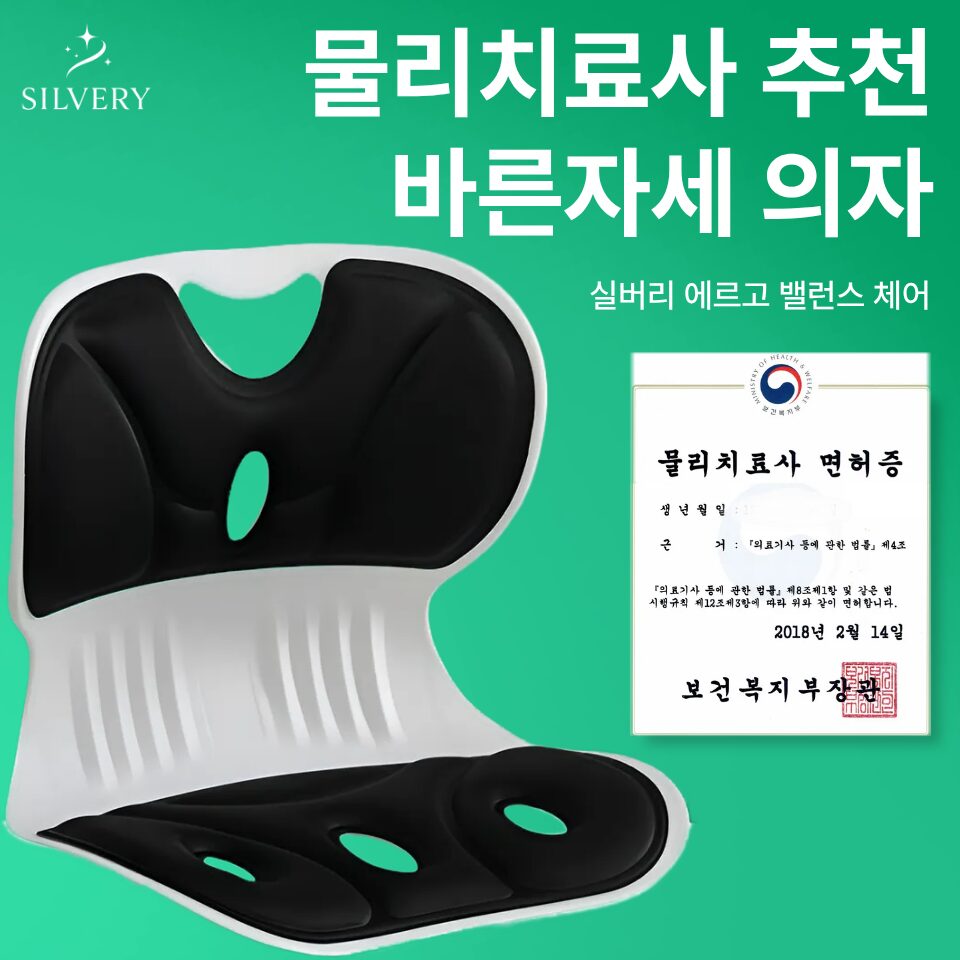 실버리 인체공학 바른자세 등받이 좌식의자, 블랙할인 상세 이미지 1